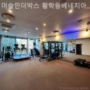 머슬 인 이미지