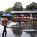 일출랜드식물원 이미지