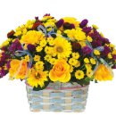 신평2동-5 이미지