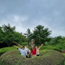 드라이빙제주 - 제주시 남성로 98-1 | 제주도 카니발 렌트 기사 포함! 제주 드라이빙 가이드 여행 후기