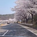 둔산안과의원 이미지