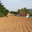 칠곡면사무소 이미지