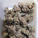 새빛약국 이미지