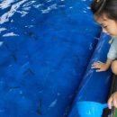 ★가보자 GO 탐방★ 이미지