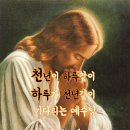 천년의 하루 이미지