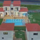 스테이독 | 더스테이골드독 가봤더니 진짜 좋더라