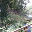 복용농장 이미지