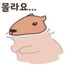 웜홀스테이 이미지