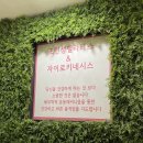 JUST PT STUDIO | 안암 “조인성 필라테스” 1:3 필라테스 후기