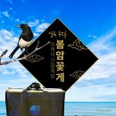 봄 간장게장