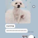 말랑이발소 이미지