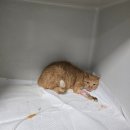 생초중학교 이미지