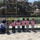 태양어린이집 이미지