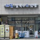 성수 김밥 해밀칼국수&amp;김밥 :: 불닭볶음면만큼 맵다는 매운오징어김밥 후기