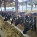 장성목장 이미지