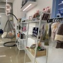 아로하스토리 이미지