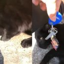 대신열쇠 이미지