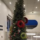 씨앤트리 이미지