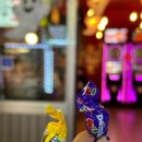 발짝 중랑역점 이미지