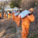 태인동 장내마을 이미지