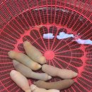 강바다횟집 이미지
