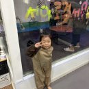 주주블랑 | 대전 주주블랑 오감놀이터, 쿠킹클래스 이용 후기_준비물, 주차, 이용요금 및 시간