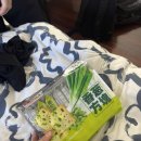 (주)펀라이드 | 꽁트 타고 시드니 여기저기🚂, 맛차 티라미수🍃, 시드니 시티 맛집 도장깨기⭐️, genovese coffee house...