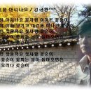 꽃순이PC 이미지