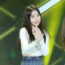 스텔라 이미지