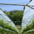 운산농장 이미지