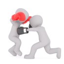 홍복싱(MMA)주짓수 네이버블로그