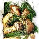 가곡추억펜션 이미지