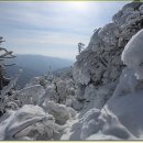 ♣1/28(목)노인봉과 오대산 비로봉 2산과 또는 오대산 종주 눈꽃산행 이미지