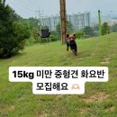 젤리뽀개린이집 이미지