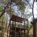 입화산참살이숲야영장 | 입화산 참살이숲 야영장(19.4.5~7)