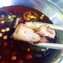 안씨고집 이미지