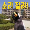 코인싱어 동전 노래연습장 이미지