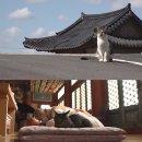 미륵농장 이미지