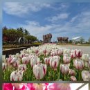 하나로여행사주 - 수성구 지범로 188 | 하나로여행사주