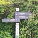 임걸령옹달샘 이미지