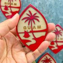 비자친구 이건행정사 | 괌 자유여행 필수 준비물 유심 이심 esim 할인 가격 ETA 비자 유심사 속도 후기