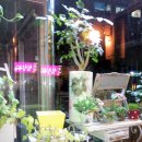 야로시장 이미지