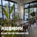 중앙공원(하)화장실 | 다산 브런치 카페 커피플레이어 : 식물 가득 다산중앙공원 카페 추천! (휠체어, 반려동물 동반 가능)