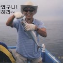 퓨 Daum카페