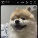 정메디컬 | [호주 워홀 D+100] 워홀 100일 돌파 🎊 (킨가로이 스위커스 메디컬, 인덕션, 워킹 후기)