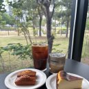스태들 | 평택 애견동반 카페 스태들, 통창뷰 좋은 비전동 바스크치즈케이크 맛집