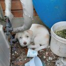 대천2동사무소 이미지