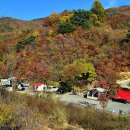 천문대 별빛정원 이미지