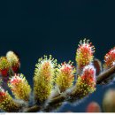 서부역9로 이미지