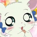 뻬이 네이버블로그